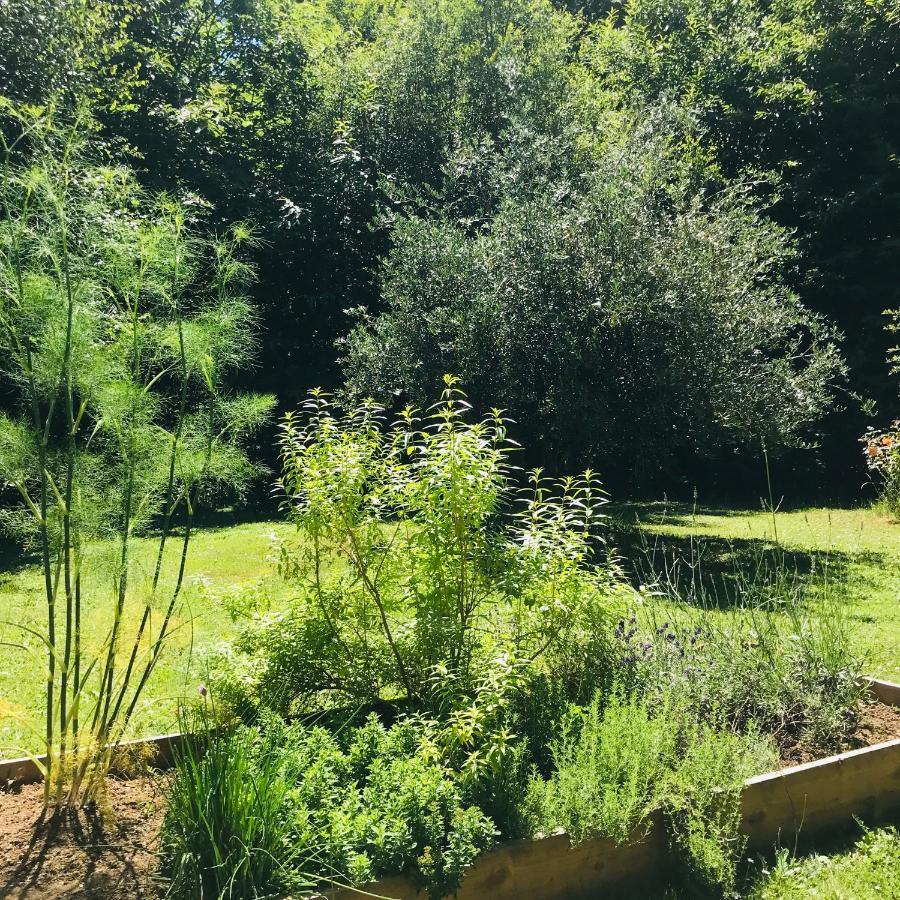 Chambre Calme Sur Terrasse - Proche Canal Nantes A Brest Plesse Ngoại thất bức ảnh